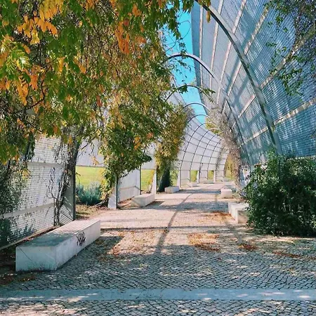 Cost Privado